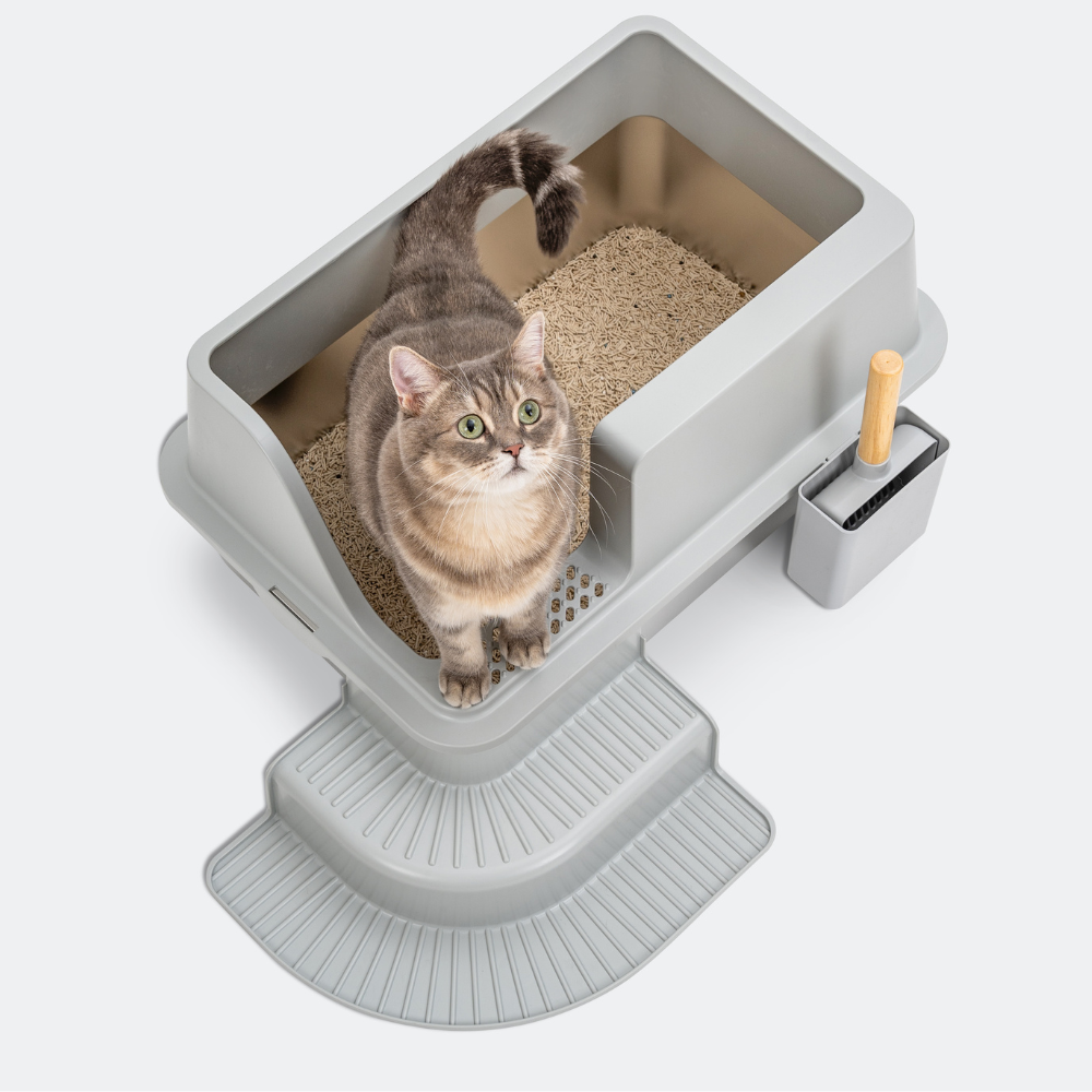 XL Corner Entry Stainless Steel Litter Box with Stair