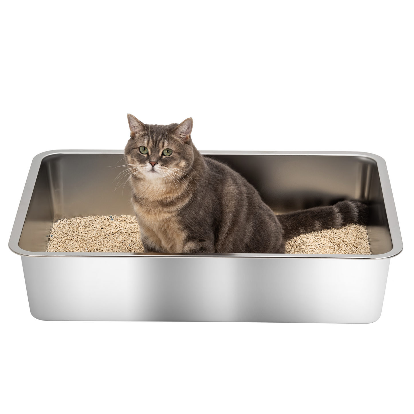 XXL Front Entry Stainless Steel Litter Box