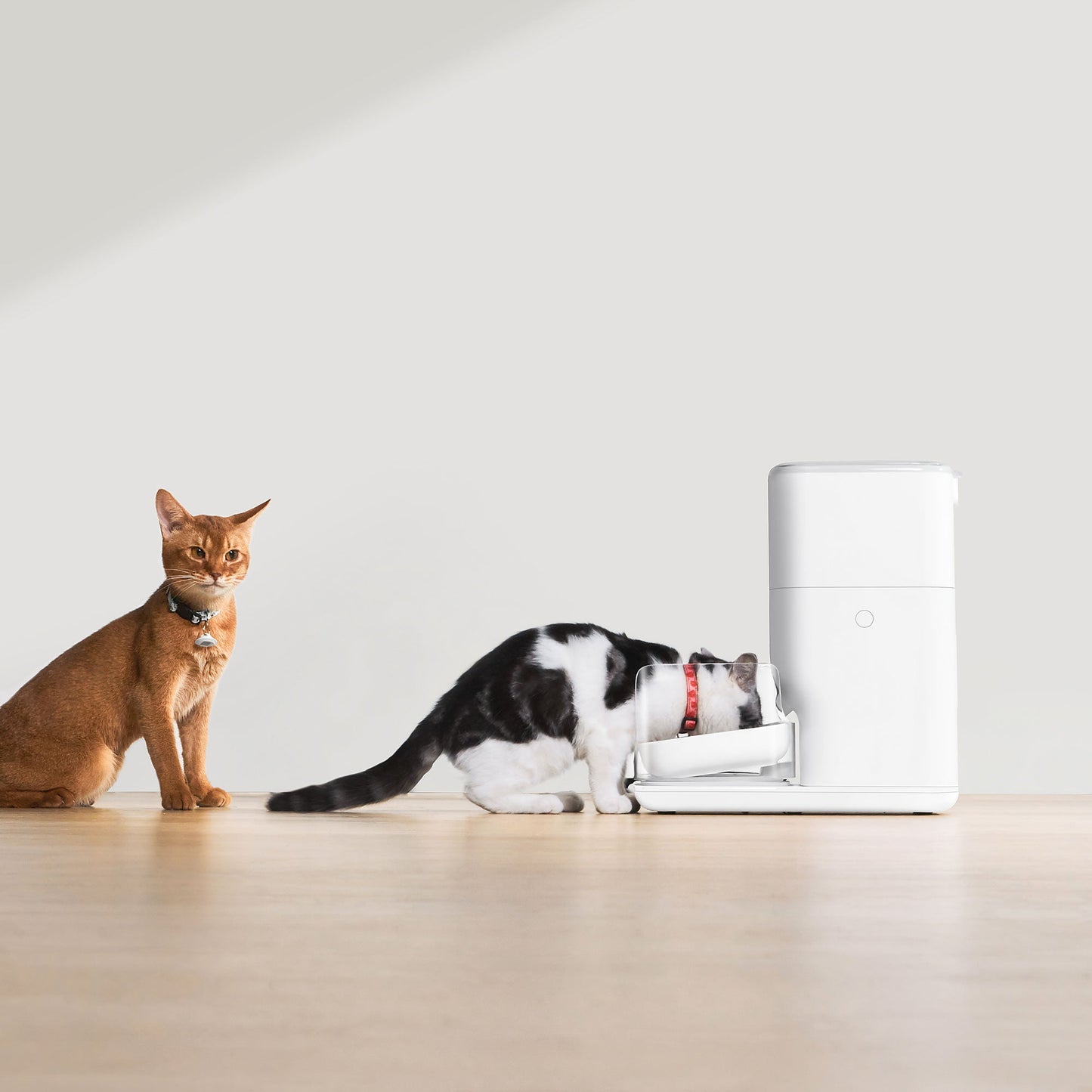 CATLINK EcoSystem Set SE