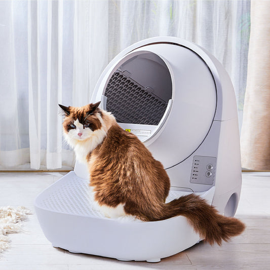 CATLINK Self Cleaning Litter Box - Scooper Young Pro-X Ramp Set